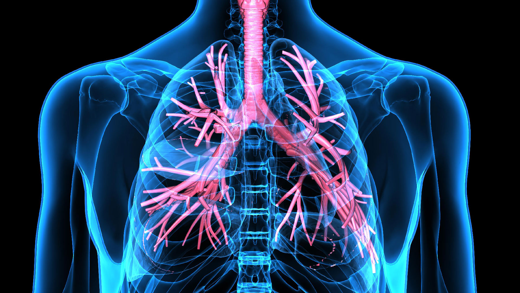 Terapia Respiratoria Domiciliaria  2